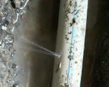 中站卫生间测漏水多少钱
