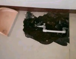 中站卫生间测漏水多少钱