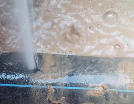 中站卫生间防水哪家好